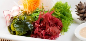 Sea Vegetables Health Benefits